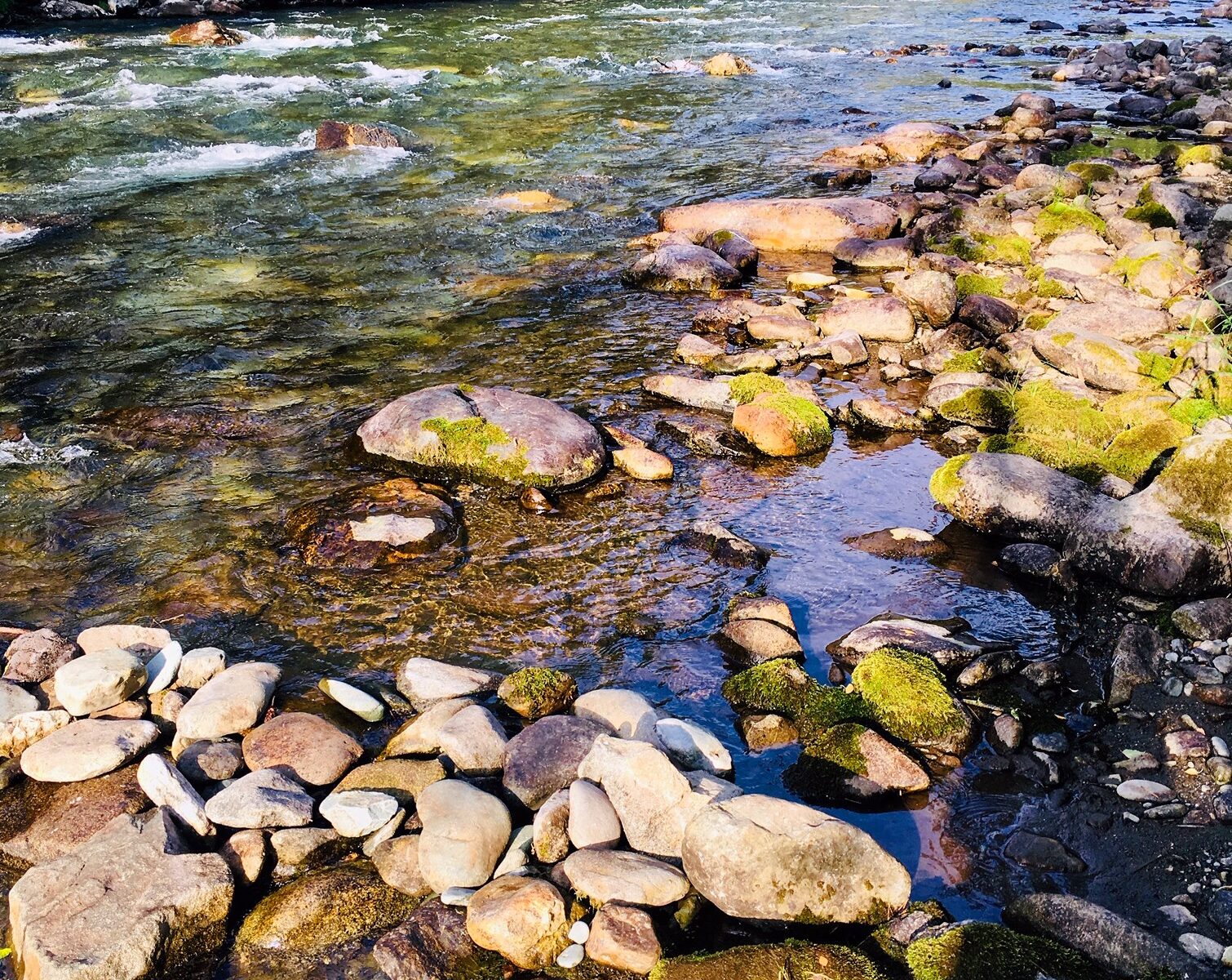 A brook with clear water
